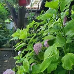 Unique Traditional House, Hosted By J&g Tirana