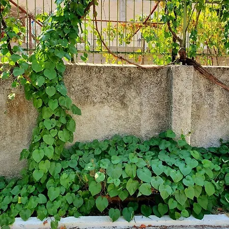 Unique Traditional House, Hosted By J&g