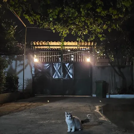 Unique Traditional House, Hosted By J&g *