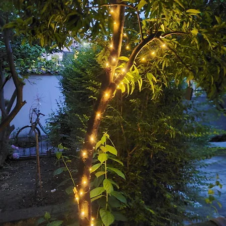 Unique Traditional House, Hosted By J&g Villa Tirana