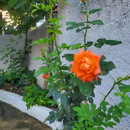 Unique Traditional House, Hosted By J&g *