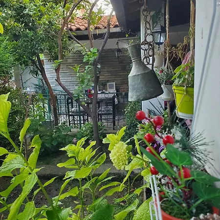 Unique Traditional House, Hosted By J&g تيرانا