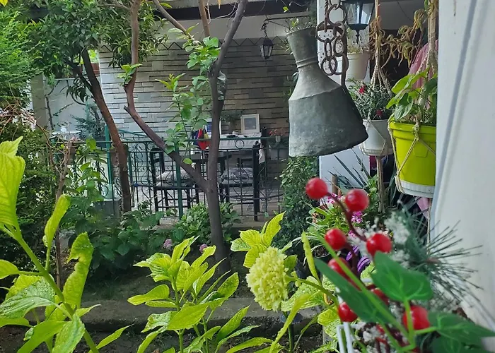 Unique Traditional House, Hosted By J&g 地拉那